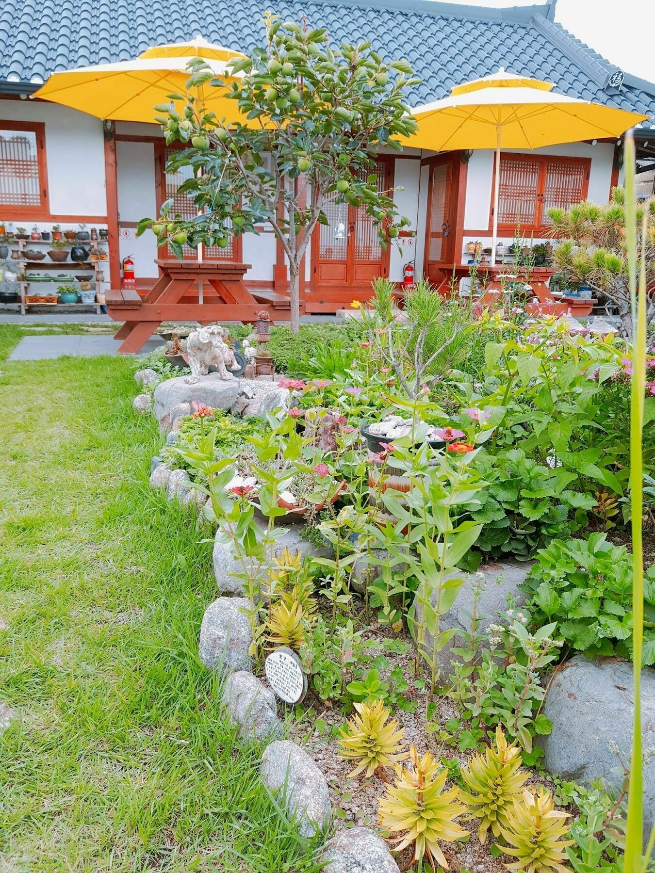 Hanok Raon Gyeongju Ngoại thất bức ảnh